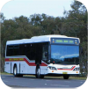 Port Stephens Coaches